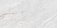 GT136VG Плитка облиц. Aventura GT Сер. 50*25 _ 1 \74,25