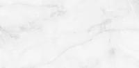 Плитка Antisky Grey light 60x120 Polished (2 шт.в уп)