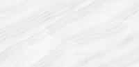Плитка Stelia Light Grey 60x120 Polished (2 шт.в уп)