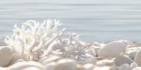 DWU09DLM624 декор Del Mare 249*500*7,5 (12 шт. в коробке)