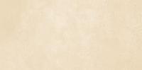 Petra Beige WT9PET11 Плитка настенная 249*500*8,5 (10 шт в уп/67.23 м в пал)