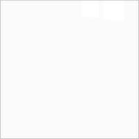 Плитка Extra White 60x60 Polished (4 шт.в уп) ( Snow White)