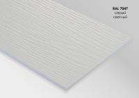 Сайдинг-панель FIBRA PLANK click - 3000х200х10 RAL 7047