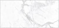 Плитка Proven 60x120 Polished (2 шт.в уп)