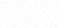 Smalta White WT9SML00 Плитка настенная 249*500*7.5 (12 шт в уп/80.676 м в пал)