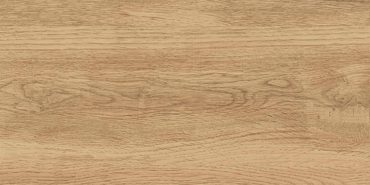 GT220VG Керамогранит Florida_GT Беж. 30x60  1\58,32
