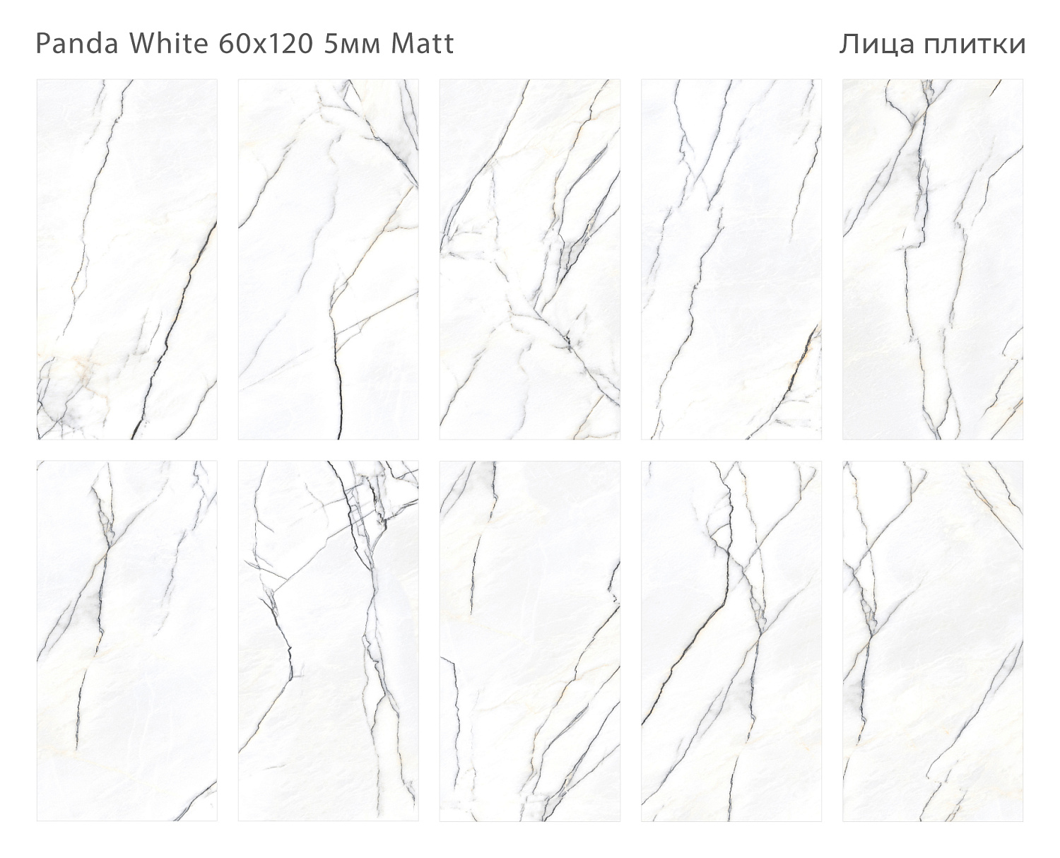 Плитка Panda White 60x120 5мм Matt (4 шт.в уп)