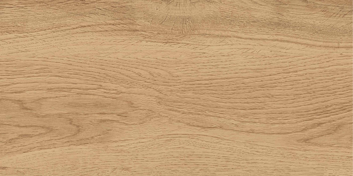 GT220VG Керамогранит Florida_GT Беж. 30x60  1\58,32