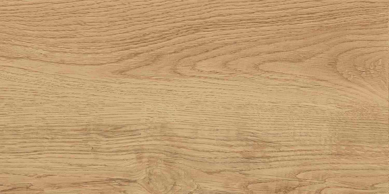 GT220VG Керамогранит Florida_GT Беж. 30x60  1\58,32