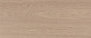 10100001342 Плитка облиц. Eco Wood GT Беж. 60*25 03_ 1 \57,6