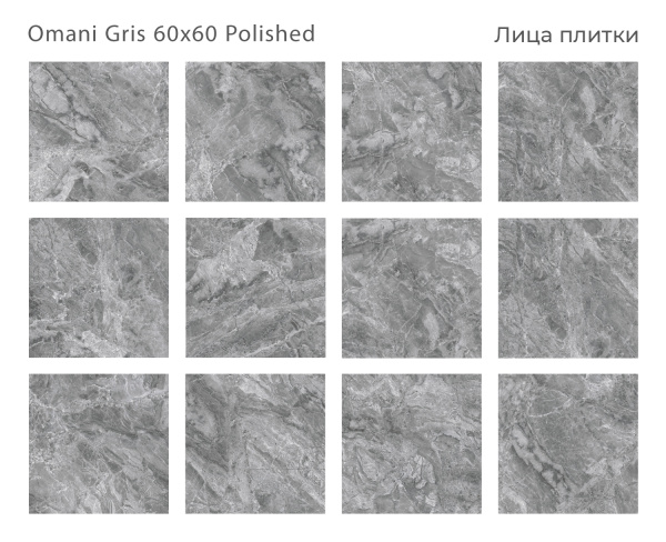Плитка Omani Gris 60x60 Polished (4 шт.в уп)