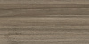 Essense Brown WT9ESS08 Плитка настенная 249*500*8,5 (10 шт в уп/67.23 м в пал)