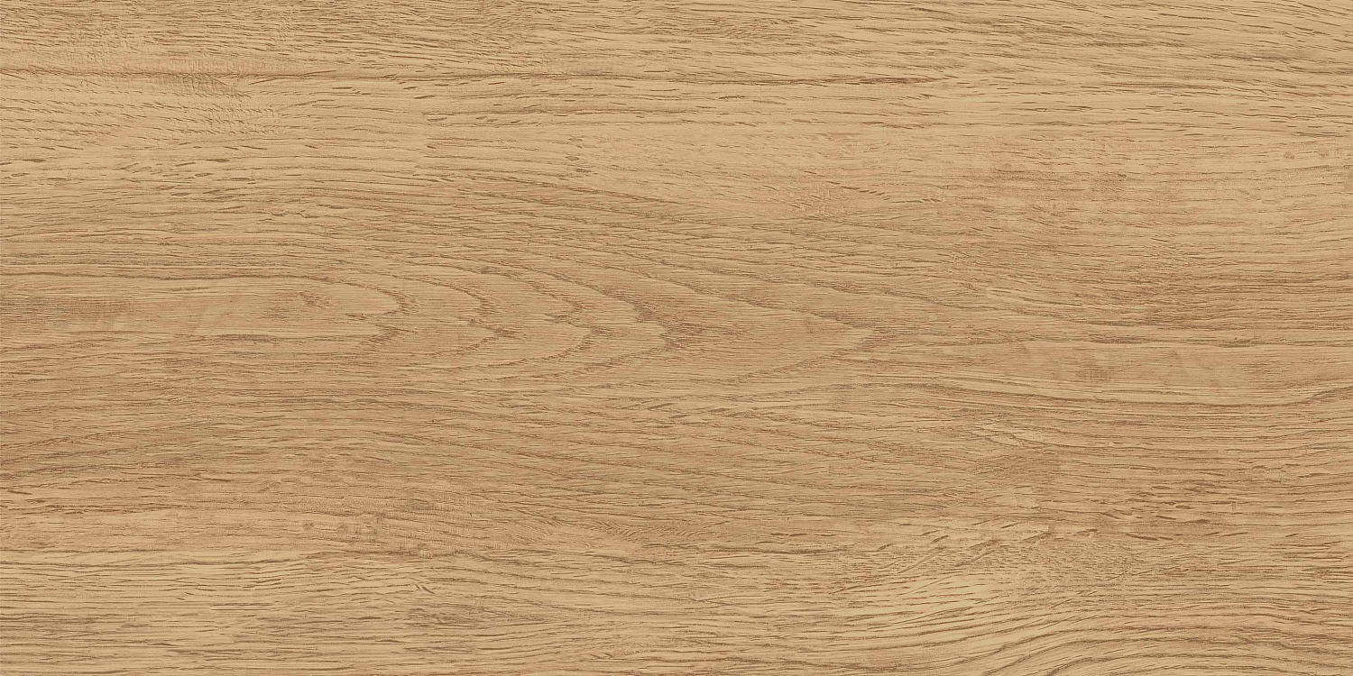 GT220VG Керамогранит Florida_GT Беж. 30x60  1\58,32