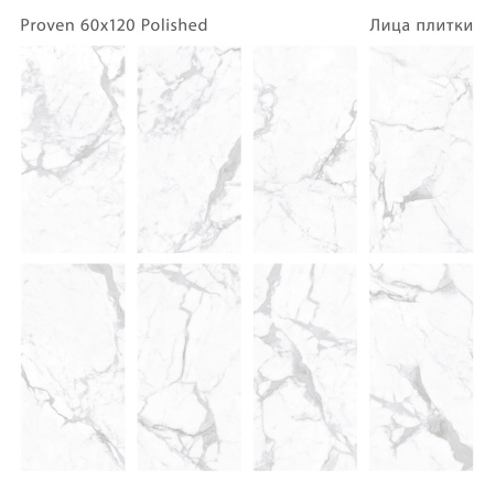 Плитка Proven 60x120 Polished (2 шт.в уп)