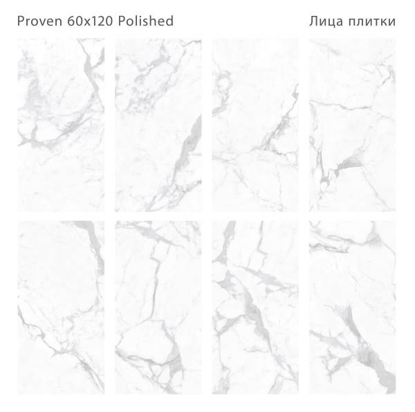 Плитка Proven 60x120 Polished (2 шт.в уп)