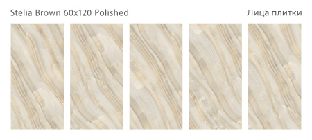 Плитка Stelia Brown 60x120 Polished (2 шт.в уп)