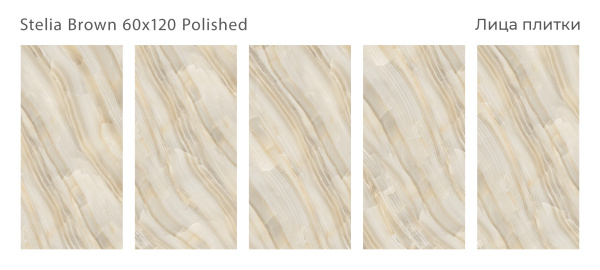 Плитка Stelia Brown 60x120 Polished (2 шт.в уп)