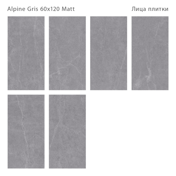 Плитка Alpine Gris Matt 60x120 (3 шт.в уп)