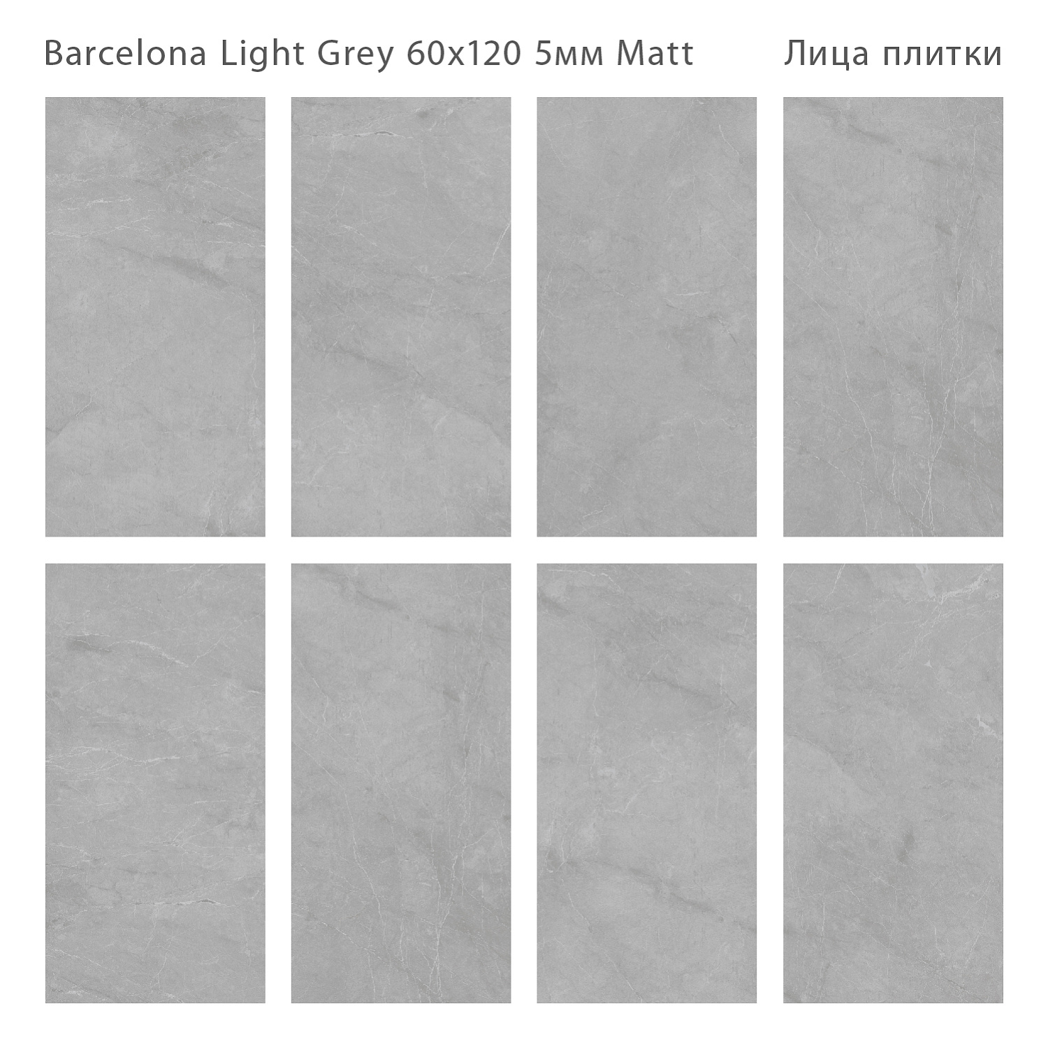 Плитка Barcelona Light Grey 60x120 5мм Matt (4 шт.в уп)