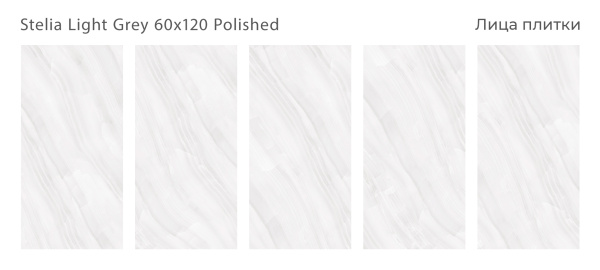 Плитка Stelia Light Grey 60x120 Polished (2 шт.в уп)