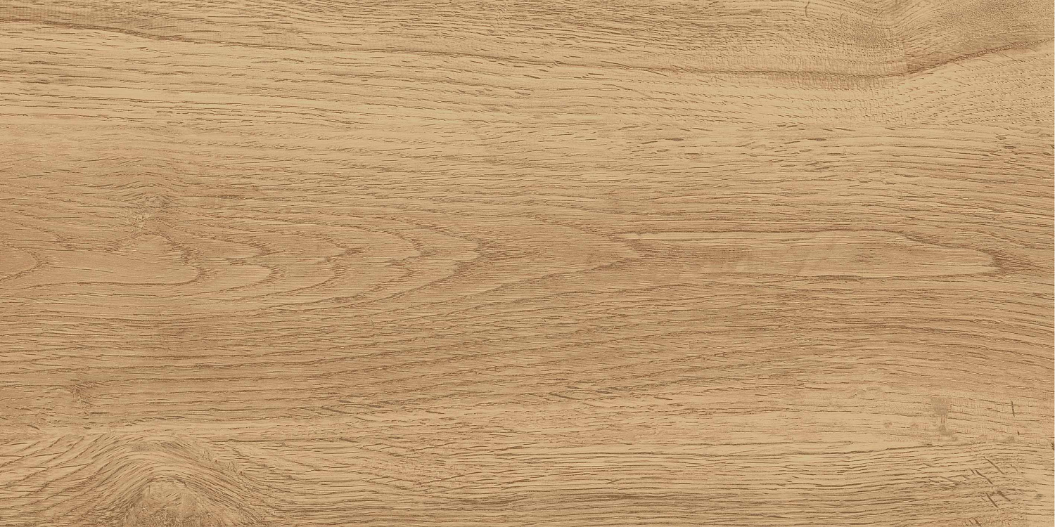 GT220VG Керамогранит Florida_GT Беж. 30x60  1\58,32